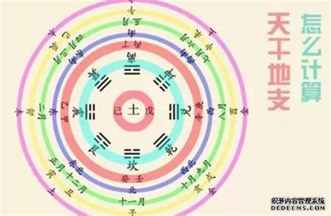 壬辰日主|壬辰日柱是什么意思 壬辰日柱生于各时辰详解